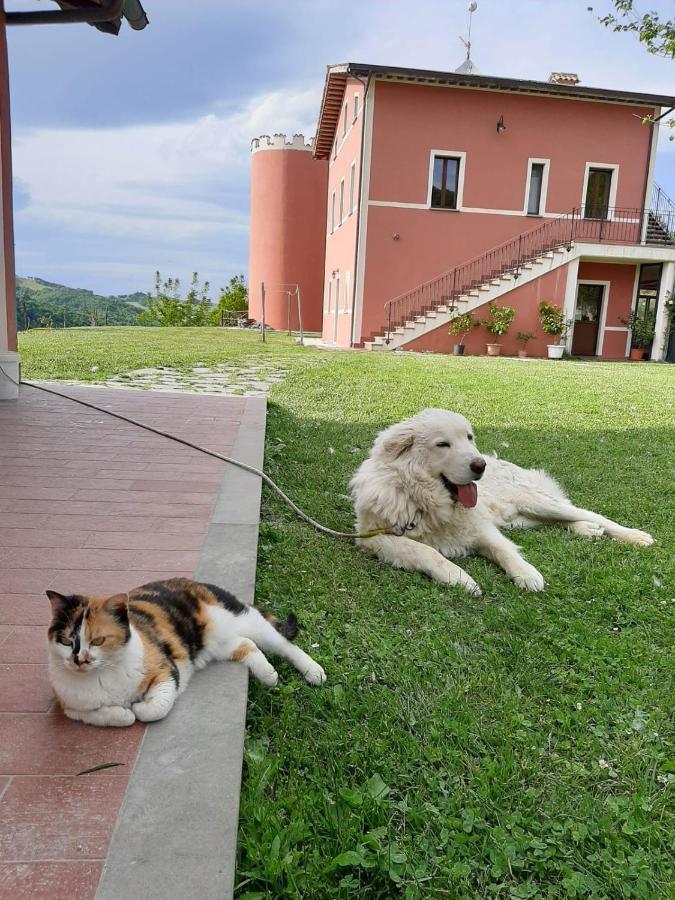 Agriturismo La Vita E Bella Villa ฟาบริอาโน ภายนอก รูปภาพ